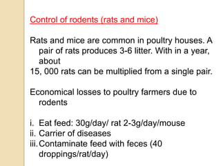 Control of rodents (rats and mice)
Rats and mice are common in poultry houses. A
pair of rats produces 3-6 litter. With in a year,
about
15, 000 rats can be multiplied from a single pair.
Economical losses to poultry farmers due to
rodents
i. Eat feed: 30g/day/ rat 2-3g/day/mouse
ii. Carrier of diseases
iii.Contaminate feed with feces (40
droppings/rat/day)
 