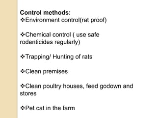 Control methods:
Environment control(rat proof)
Chemical control ( use safe
rodenticides regularly)
Trapping/ Hunting of rats
Clean premises
Clean poultry houses, feed godown and
stores
Pet cat in the farm
 