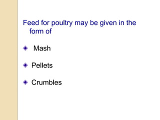 Feed for poultry may be given in the
form of
Mash
Pellets
Crumbles
 