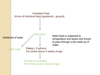 Complete Feed
(A mix of individual feed ingredients , ground)
Mash (dry)
Additional of water
Wet mash Pellets ( 3 to5mm)
For chicks above 3 weeks of age
Crumbs or crumbles
For chicks up to 3 weeks of age
Mash feed is subjected to
temperature and steam and forced
to pass through a die made up of
holes
 