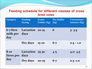 Feeding management of livestock during scarcity | PPT