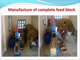 Fodder Block Business Feeding management of livestock during scarcity | PPT