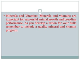 Bull Ration FEEDING OF BULL animal nutrition mhow.ppt