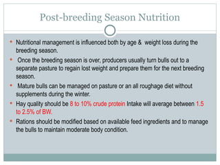 Bull Ration FEEDING OF BULL animal nutrition mhow.ppt