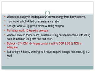 Bull Ration FEEDING OF BULL animal nutrition mhow.ppt