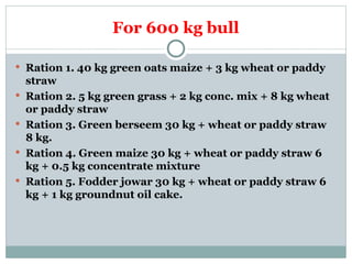 Bull Ration FEEDING OF BULL animal nutrition mhow.ppt