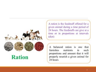 Food and fodder of cattle and buffalo animal | PDF