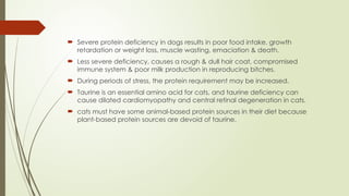 Severe protein deficiency in dogs results in poor food intake, growth
retardation or weight loss, muscle wasting, emaciation & death.
 Less severe deficiency, causes a rough & dull hair coat, compromised
immune system & poor milk production in reproducing bitches.
 During periods of stress, the protein requirement may be increased.
 Taurine is an essential amino acid for cats, and taurine deficiency can
cause dilated cardiomyopathy and central retinal degeneration in cats.
 cats must have some animal-based protein sources in their diet because
plant-based protein sources are devoid of taurine.
 