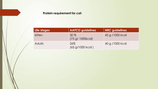 Life stages AAFCO guidelines NRC guidelines
kitten 30 %
(75 g/ 1000kcal)
45 g /1000 kcal
Adults 26%
(65 g/1000 kcal )
40 g /1000 kcal
Protein requirement for cat:
 