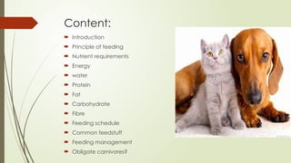 Content:
 Introduction
 Principle of feeding
 Nutrient requirements
 Energy
 water
 Protein
 Fat
 Carbohydrate
 Fibre
 Feeding schedule
 Common feedstuff
 Feeding management
 Obligate carnivores?
 