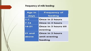 Frequency of milk feeding:
 