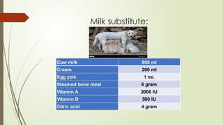 Milk substitute:
 