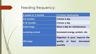 Feeding frequency:
 