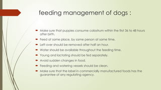 feeding management of dogs :
 Make sure that puppies consume colostrum within the first 36 to 48 hours
after birth.
 Feed at same place, by same person at same time.
 Left over should be removed after half an hour.
 Water should be available throughout the feeding time.
 Young and lactating should be fed separately.
 Avoid sudden changes in food.
 Feeding and watering vessels should be clean.
 Make sure that the label in commercially manufactured foods has the
guarantee of any regulating agency.
 