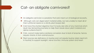 Cat- an obligate carnivores?
 An obligate carnivore is a predator that eats meat out of biological necessity.
 Although cats can digest plant material safely, but are unable to meet all of
their nutritional needs on a strictly plant-based diet.
 Cats have the shortest digestive tract to body size ratio of any mammal which
result, less fermenting bacteria to help them break down plant material and
derive nutrients from it.
 Cats, cannot make beta-carotene conversion due to lack of enzyme, hence,
require vitamin A from animal source.
 Plant sources are deficiency in taurine and cat require taurine (dark meat rich
in taurine) to support eyesight, nerve function, immune system and heart.
 