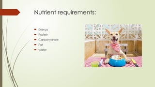 Nutrient requirements:
 Energy
 Protein
 Carbohydrate
 Fat
 water
 