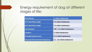 Energy requirement of dog at different
stages of life:
 
