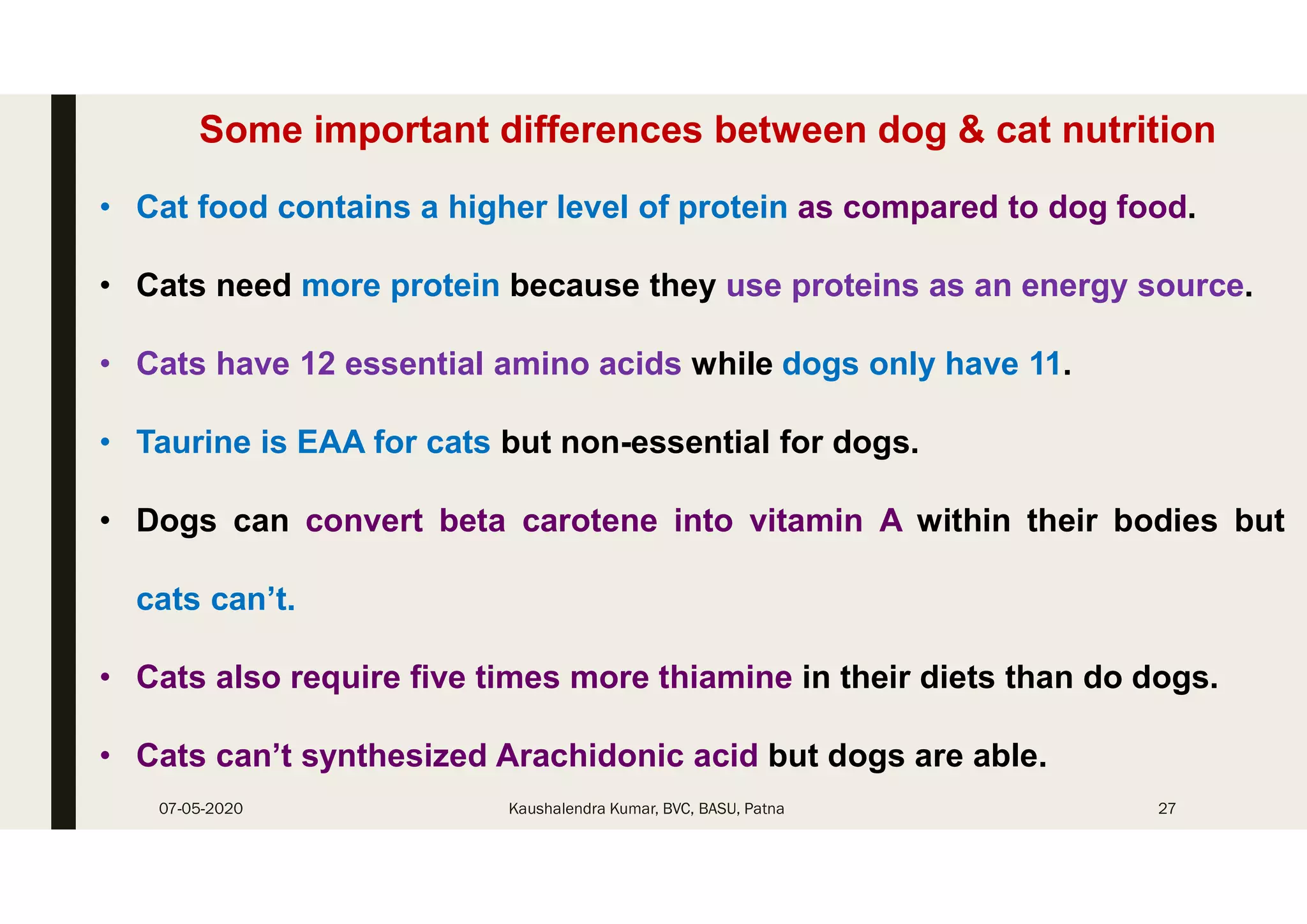 What are the Nutritional Differences between Cats And Dogs: Essential Insights