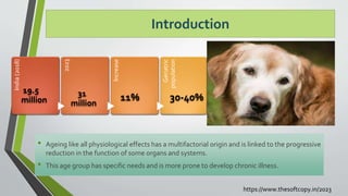 Image showcasing Feeding of geriatric dogs ppt2.pptx