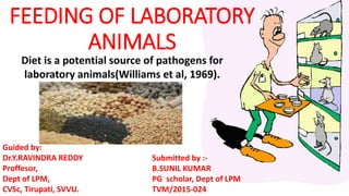 FEEDING OF LABORATORY
ANIMALS
Diet is a potential source of pathogens for
laboratory animals(Williams et al, 1969).
Submitted by :-
B.SUNIL KUMAR
PG scholar, Dept of LPM
TVM/2015-024
Guided by:
Dr.Y.RAVINDRA REDDY
Proffesor,
Dept of LPM,
CVSc, Tirupati, SVVU.
 