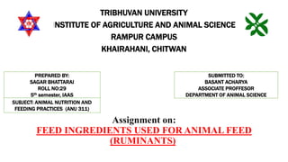 Assignment on:
FEED INGREDIENTS USED FOR ANIMAL FEED
(RUMINANTS)
TRIBHUVAN UNIVERSITY
INSTITUTE OF AGRICULTURE AND ANIMAL SCIENCE
RAMPUR CAMPUS
KHAIRAHANI, CHITWAN
PREPARED BY:
SAGAR BHATTARAI
ROLL NO:29
5th semester, IAAS
SUBMITTED TO:
BASANT ACHARYA
ASSOCIATE PROFFESOR
DEPARTMENT OF ANIMAL SCIENCE
SUBJECT: ANIMAL NUTRITION AND
FEEDING PRACTICES (ANU 311)
 