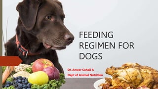 FEEDING
REGIMEN FOR
DOGS
Dr. Ameer Suhail A
Dept of Animal Nutrition
 