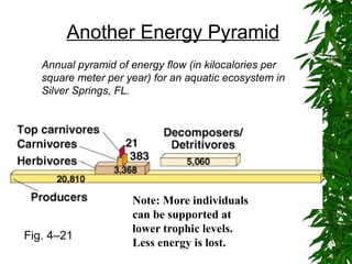 Notes Slide Background Feeding Relations for ecological interactions.pptx