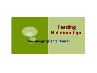 Feeding
Relationships
How energy gets transferred

 