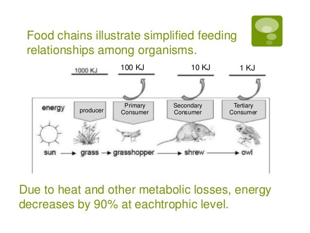 what is a consumer producer relationship
