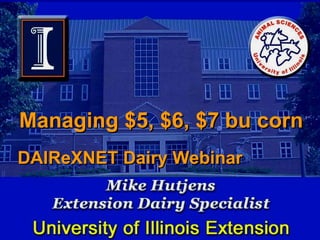Managing $5, $6, $7 bu corn   DAIReXNET Dairy Webinar   