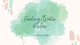 Feeding/Water
Dishes
- s l a n e y s i d e -
 