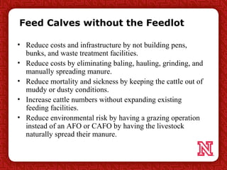 Feed Calves without the Feedlot
• Reduce costs and infrastructure by not building pens,
bunks, and waste treatment facilit...