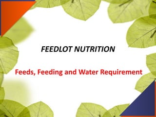 FEEDLOT NUTRITION
Feeds, Feeding and Water Requirement
 