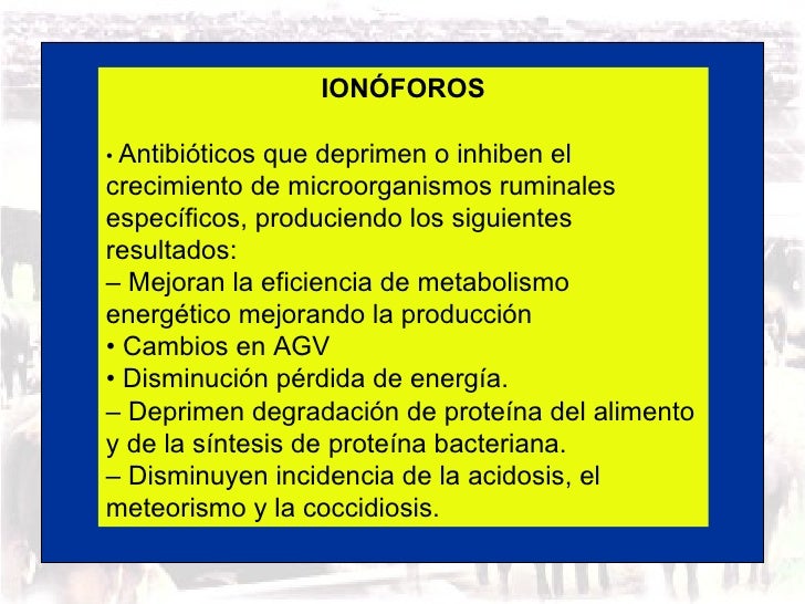 El martillo tora en las farmacias kurska