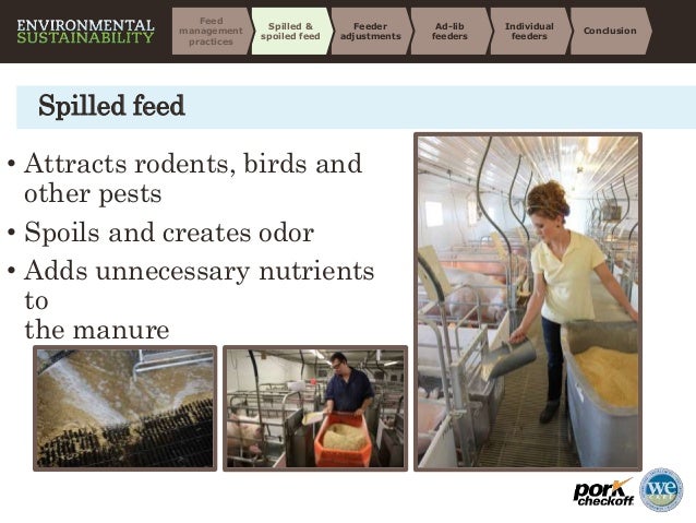 Feed Management