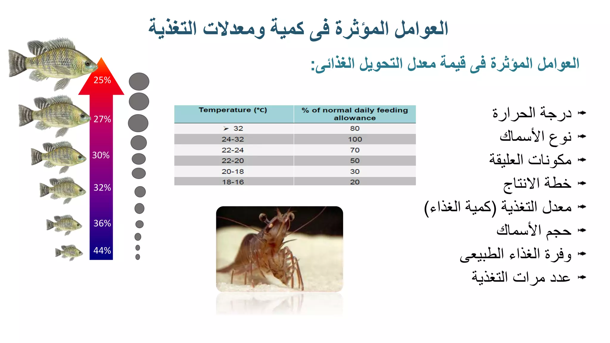 ‫الغذائى‬ ‫التحويل‬ ‫معدل‬ ‫قيمة‬ ‫فى‬ ‫المؤثرة‬ ‫العوامل‬
:
‫الحرارة‬ ‫درجة‬
‫األسماك‬ ‫نوع‬
‫العليقة‬ ‫مكونات‬
‫االنتاج‬ ‫خطة‬
‫التغذية‬ ‫معدل‬
(
‫الغذاء‬ ‫كمية‬
)
‫األسماك‬ ‫حجم‬
‫الطبيعى‬ ‫الغذاء‬ ‫وفرة‬
‫التغذية‬ ‫مرات‬ ‫عدد‬
25%
44%
36%
32%
30%
27%
‫التغذية‬ ‫ومعدالت‬ ‫كاية‬ ‫فى‬ ‫الاؤثرة‬ ‫العوامل‬
 
