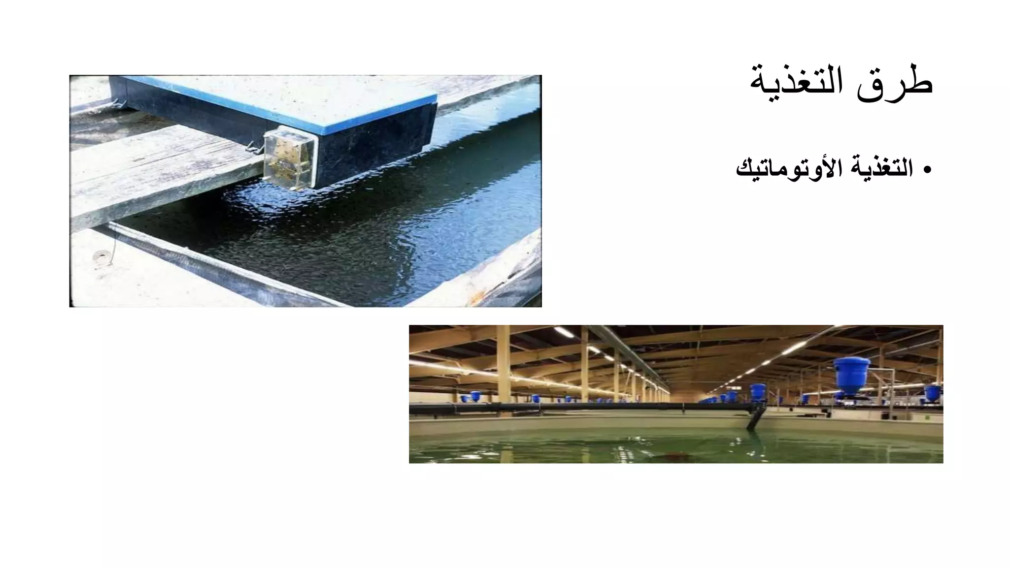 ‫التغذية‬ ‫طرق‬
•
‫األوتوماتيك‬ ‫التغذية‬
 