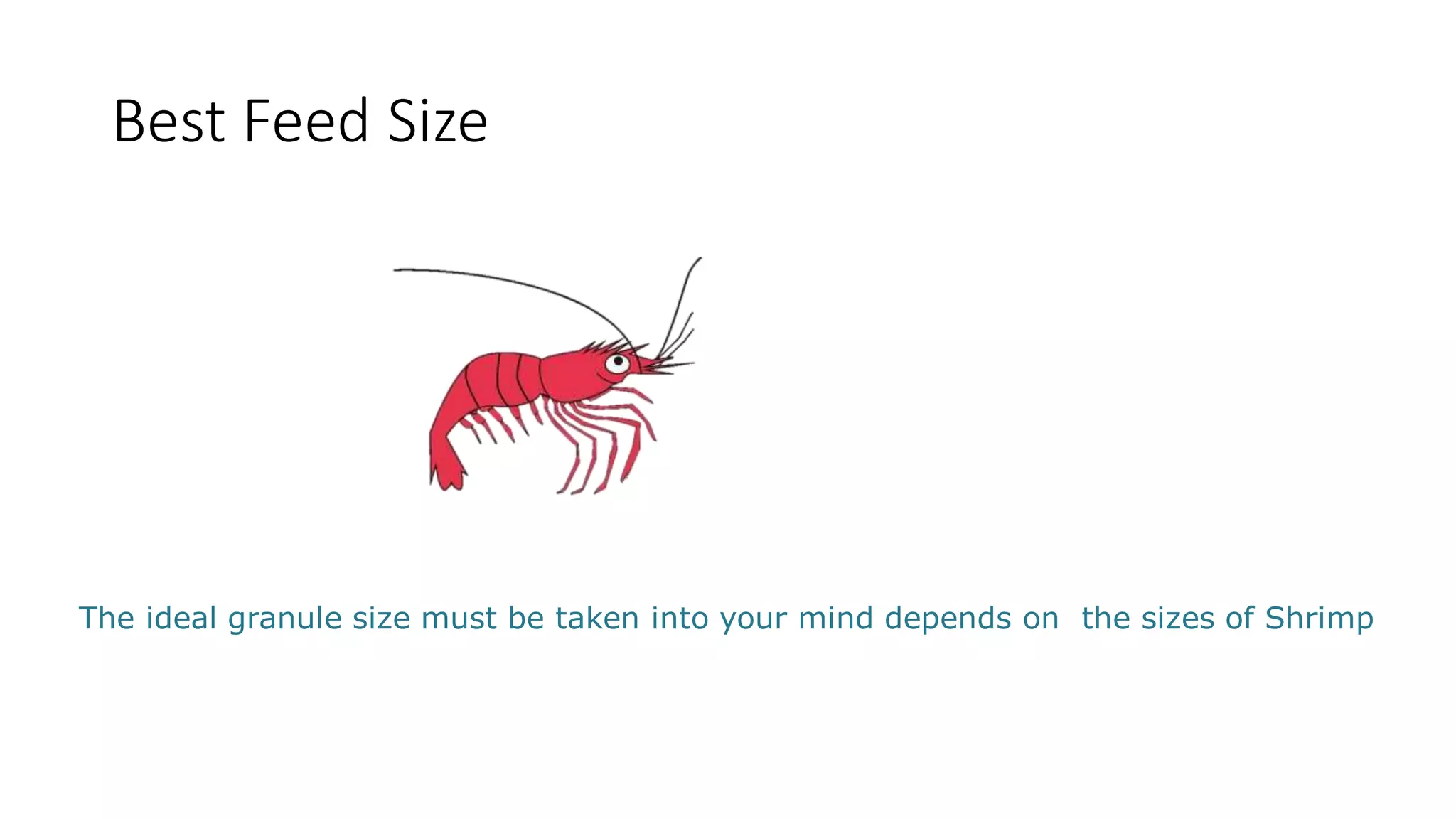 Best Feed Size
The ideal granule size must be taken into your mind depends on the sizes of Shrimp
 