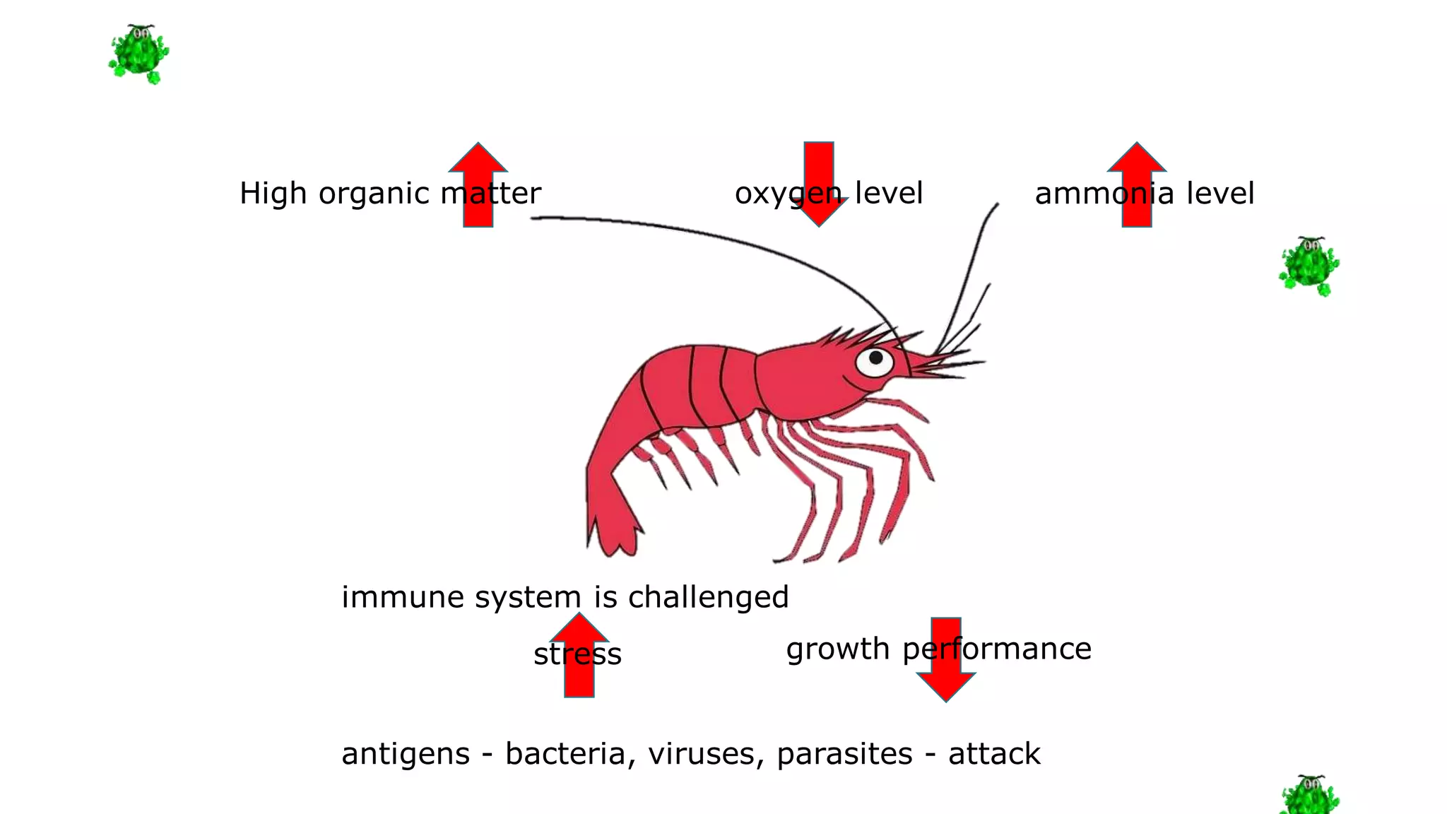 immune system is challenged
High organic matter ammonia level
antigens - bacteria, viruses, parasites - attack
growth performance
oxygen level
stress
 
