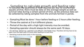 Feed Management for Fish and Shrimp.pdf