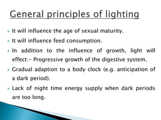  It will influence the age of sexual maturity.
 It will influence feed consumption.
 In addition to the influence of growth, light will
effect:- Progressive growth of the digestive system.
 Gradual adaption to a body clock (e.g. anticipation of
a dark period).
 Lack of night time energy supply when dark periods
are too long.
 