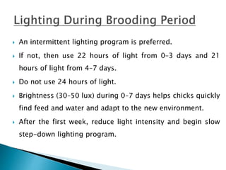  An intermittent lighting program is preferred.
 If not, then use 22 hours of light from 0–3 days and 21
hours of light from 4–7 days.
 Do not use 24 hours of light.
 Brightness (30–50 lux) during 0–7 days helps chicks quickly
find feed and water and adapt to the new environment.
 After the first week, reduce light intensity and begin slow
step-down lighting program.
 