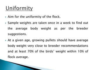  Aim for the uniformity of the flock.
 Sample weights are taken once in a week to find out
the average body weight as per the breeder
suggestions.
 At a given age, growing pullets should have average
body weight very close to breeder recommendations
and at least 70% of the birds’ weight within 10% of
flock average.
 