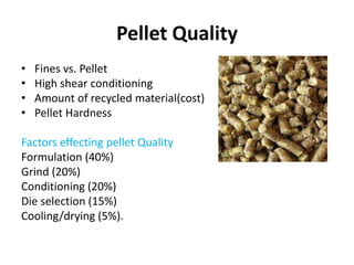 Feed manufacturing technology | PPTX