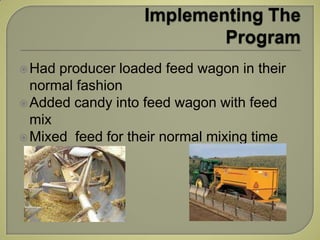  Had producer loaded feed wagon in their
  normal fashion
 Added candy into feed wagon with feed
  mix
 Mixed feed for ...