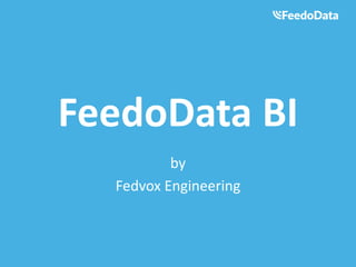 FeedoData BI 
by 
Fedvox Engineering 
 