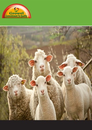 d
Feed Planning
For Sheep
Farmers
 