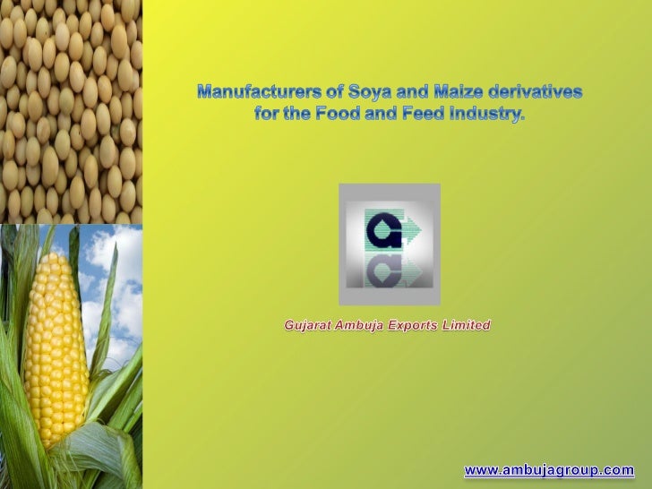 animal feed ingredients