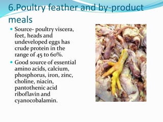 6.Poultry feather and by-product
meals
 Source- poultry viscera,
feet, heads and
undeveloped eggs has
crude protein in the
range of 45 to 60%.
 Good source of essential
amino acids, calcium,
phosphorus, iron, zinc,
choline, niacin,
pantothenic acid
riboflavin and
cyanocobalamin.
 