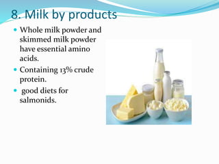 8. Milk by products
 Whole milk powder and
skimmed milk powder
have essential amino
acids.
 Containing 13% crude
protein.
 good diets for
salmonids.
 